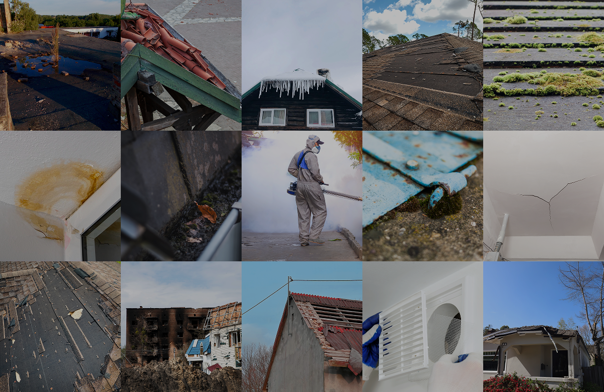 15 Roof Problems in Mashpee & How Cape Cod Roofers Solve Them
